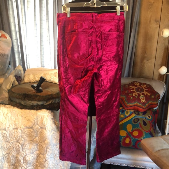 Stunning Pink Velvety FREE PEOPLE Women’s Pants size 29 - Picture 3 of 14